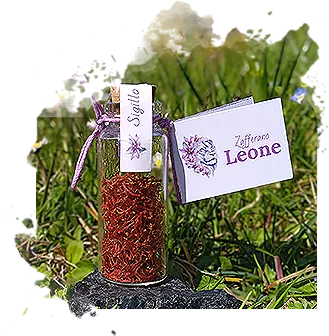 Zafferano in Boccetta da 1.0 gr
